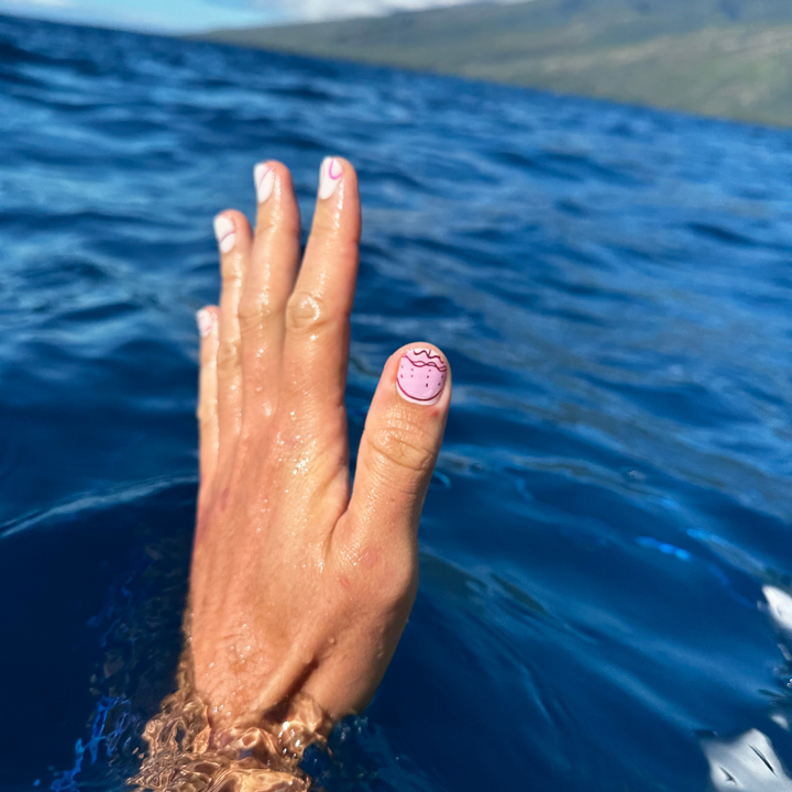 Lipo Collection: Pololia (Jellyfish)