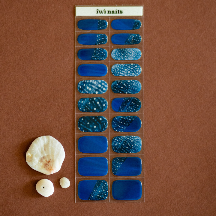 A set of blue nail polish stickers with a whale shark pattern, displayed next to a seashell on a brown background.