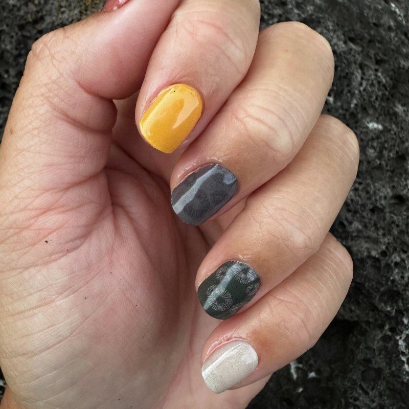 KOLEKOLEA x IWI NAILS: OPIHI