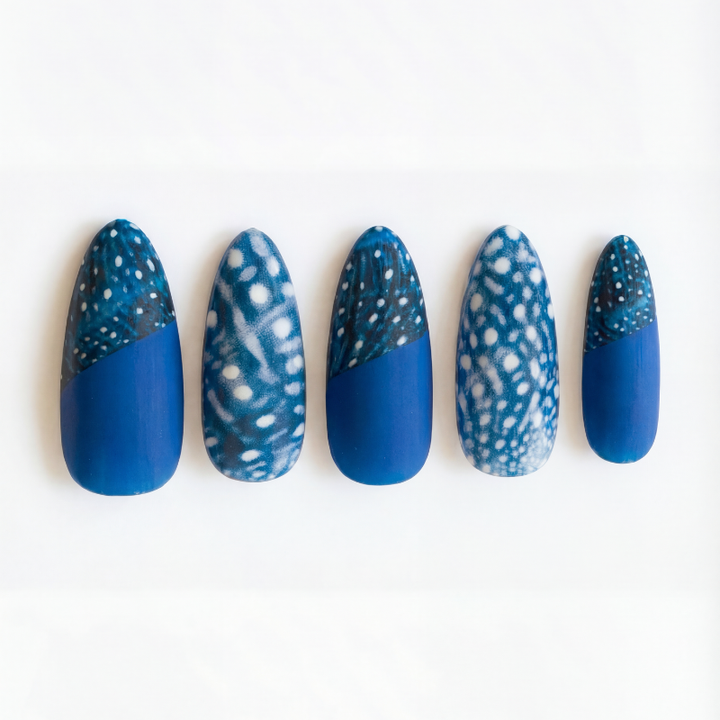 Lipo Collection: Lelewaʻa (Whale Shark)