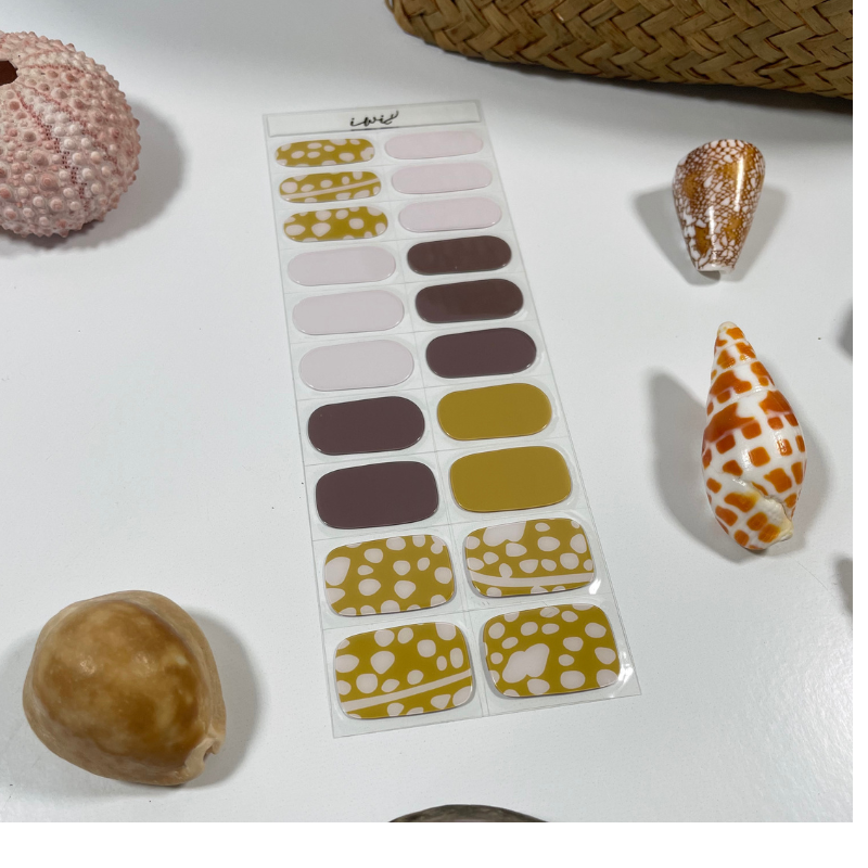 Pupu Hinuhinu Collection: Kuoho (Cowry)