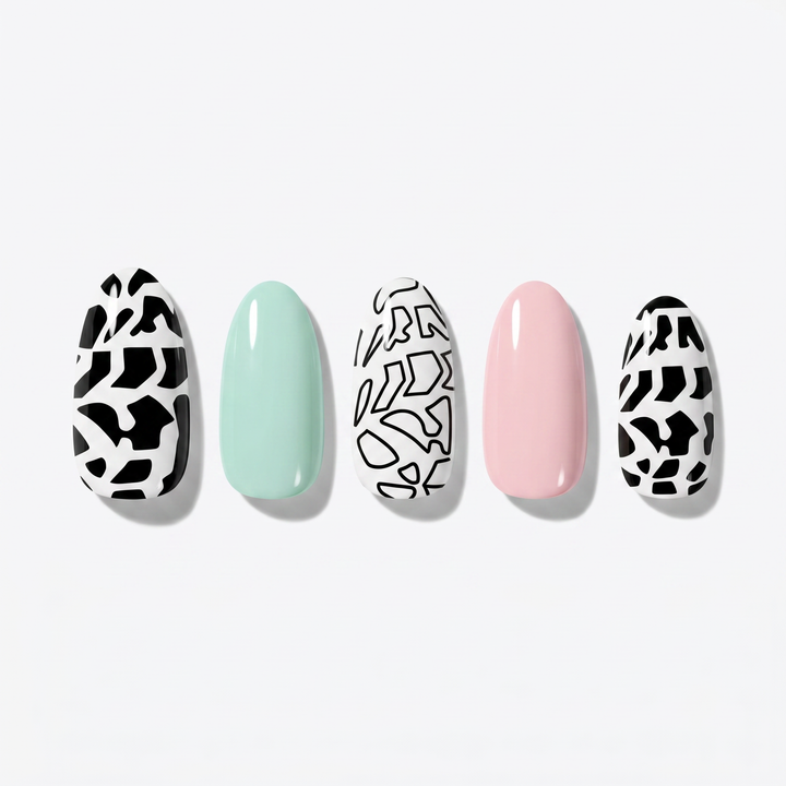 Pupu Hinuhinu Collection: Pupu Poniuniu 1 (Hebrew Cone)
