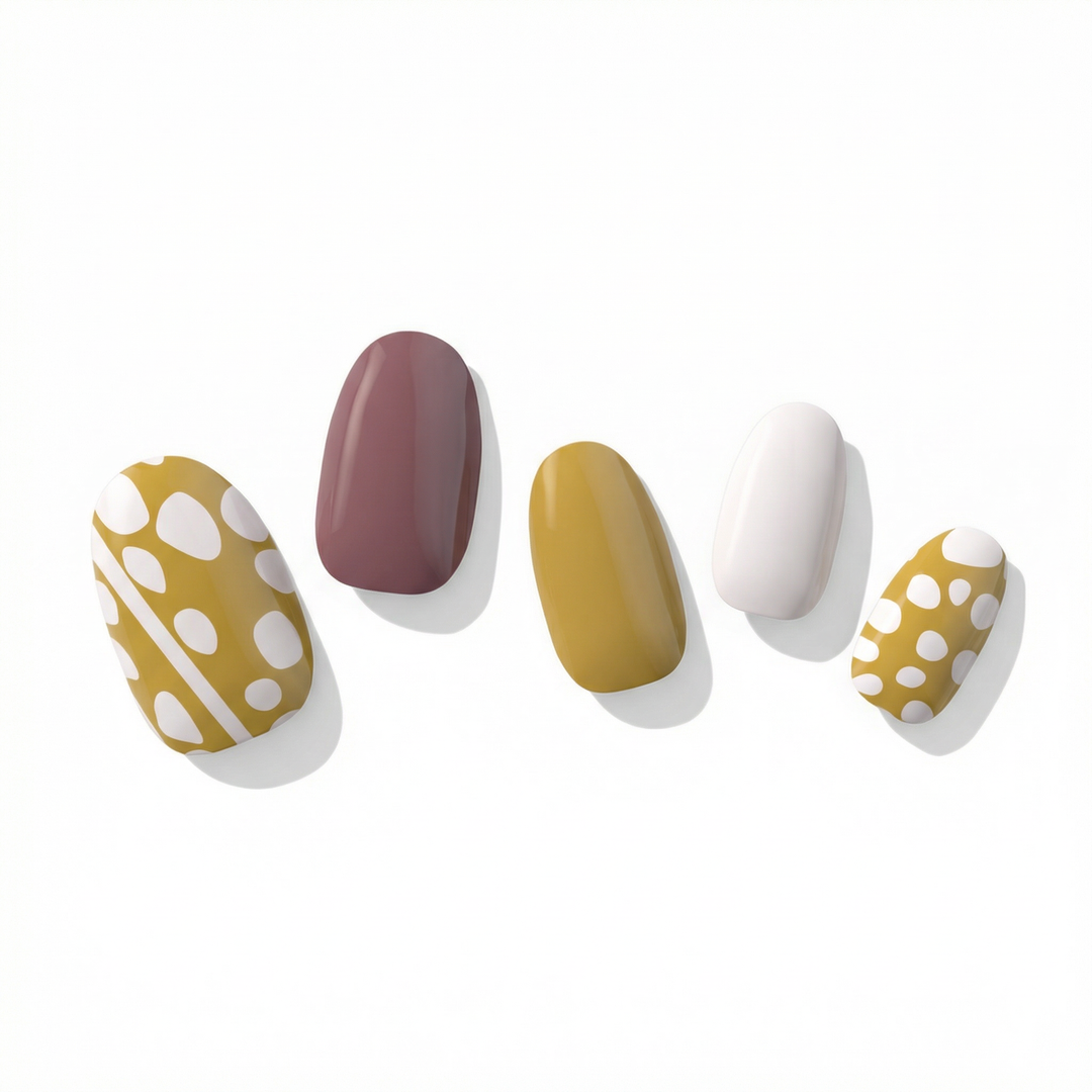 Pupu Hinuhinu Collection: Kuoho (Cowry)