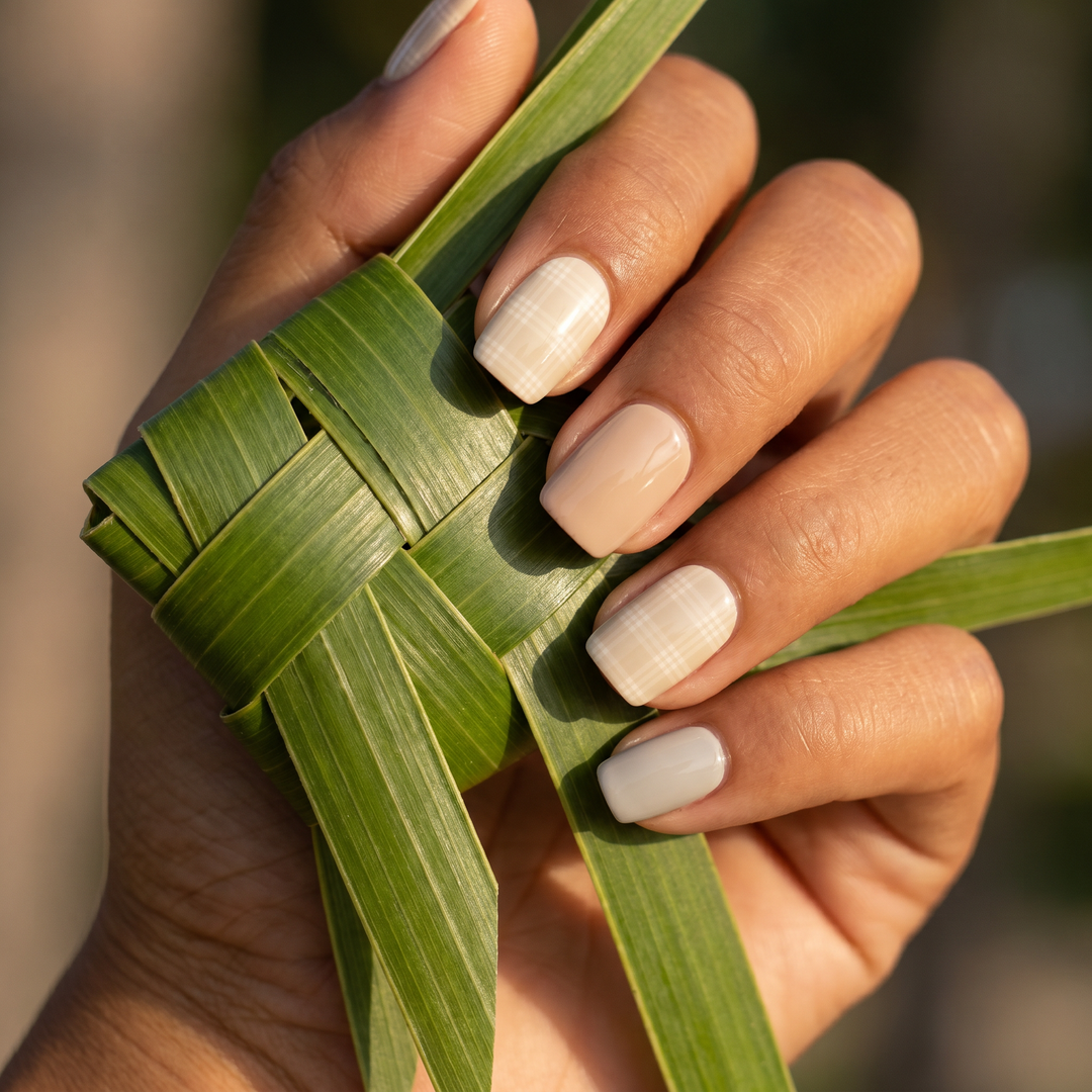 Palaka Collection: Coconut