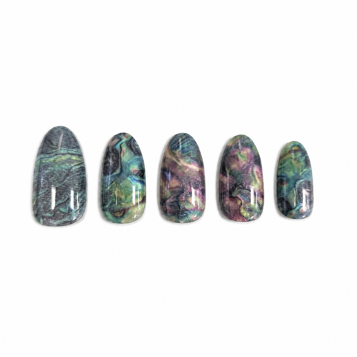 Paua
