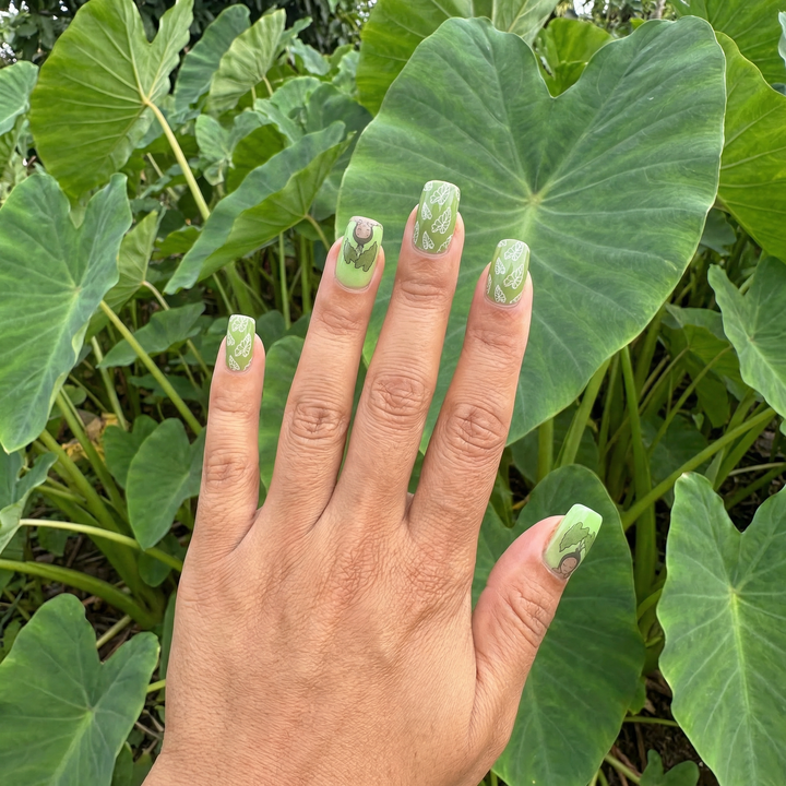 ELC Designs x Iwi Nails: Kalo Behbeh