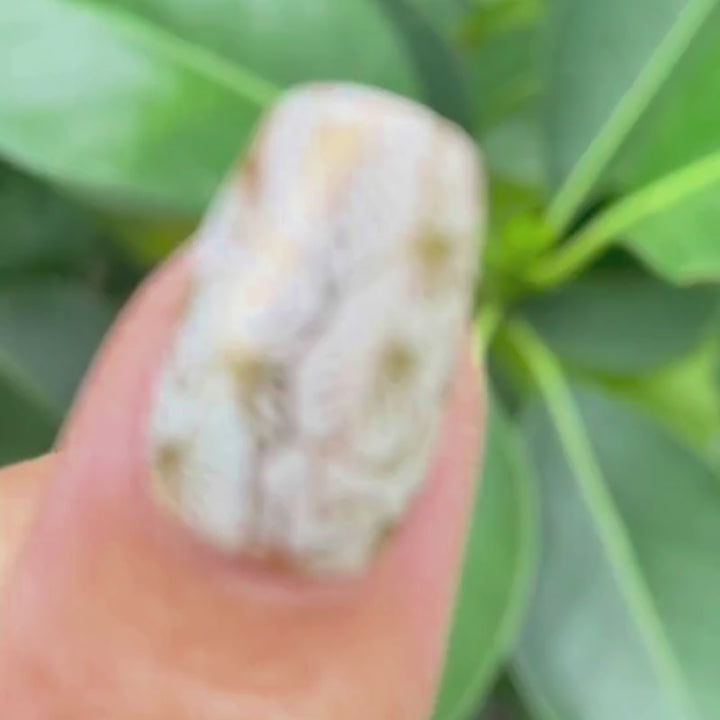 KOLEKOLEA x IWI NAILS: Loi Kalo (GOLD)